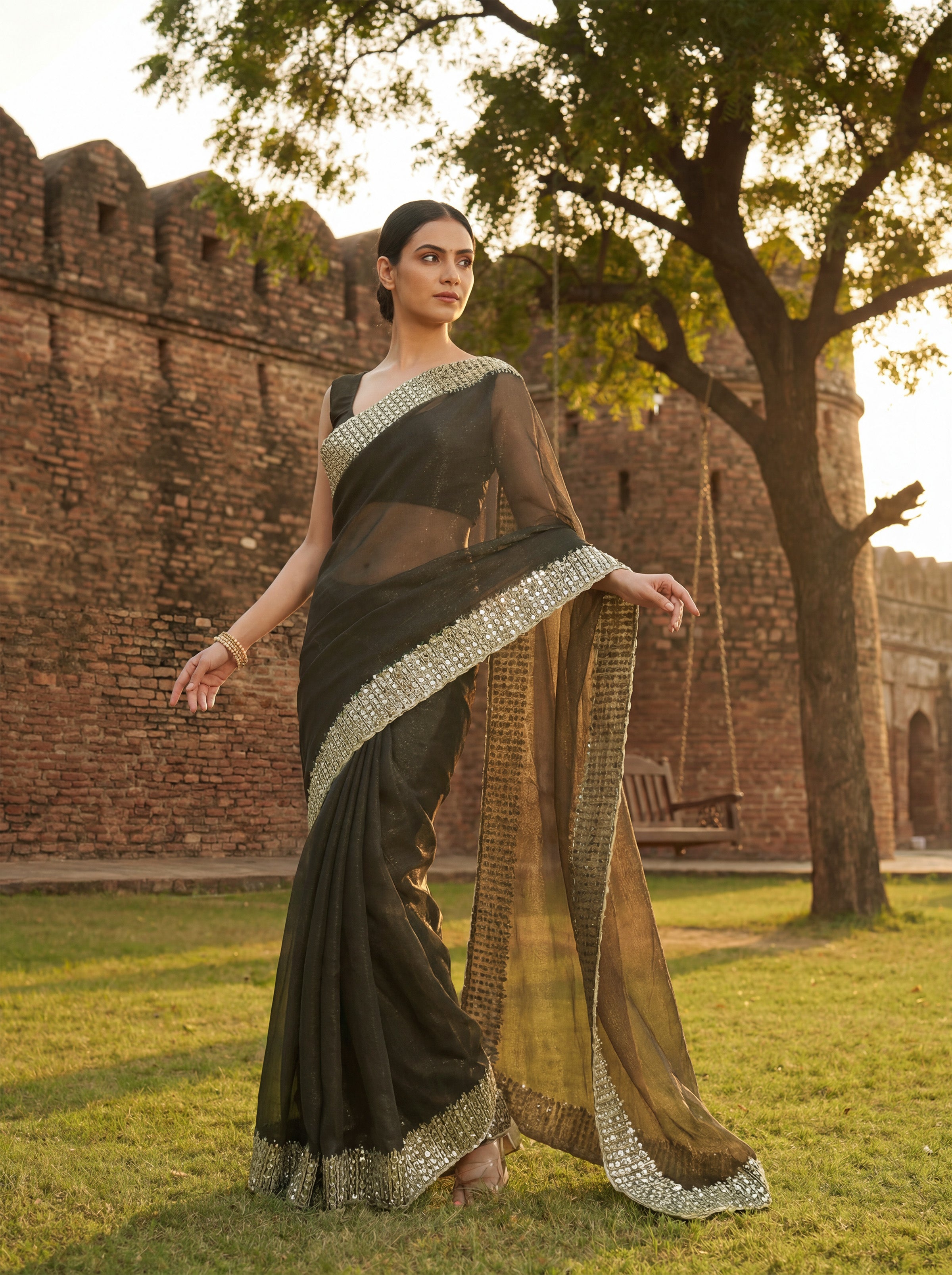 Brown Tissue Sequence & Mirror Work Saree