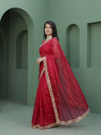 Red Organza Striped Zari Work Saree
