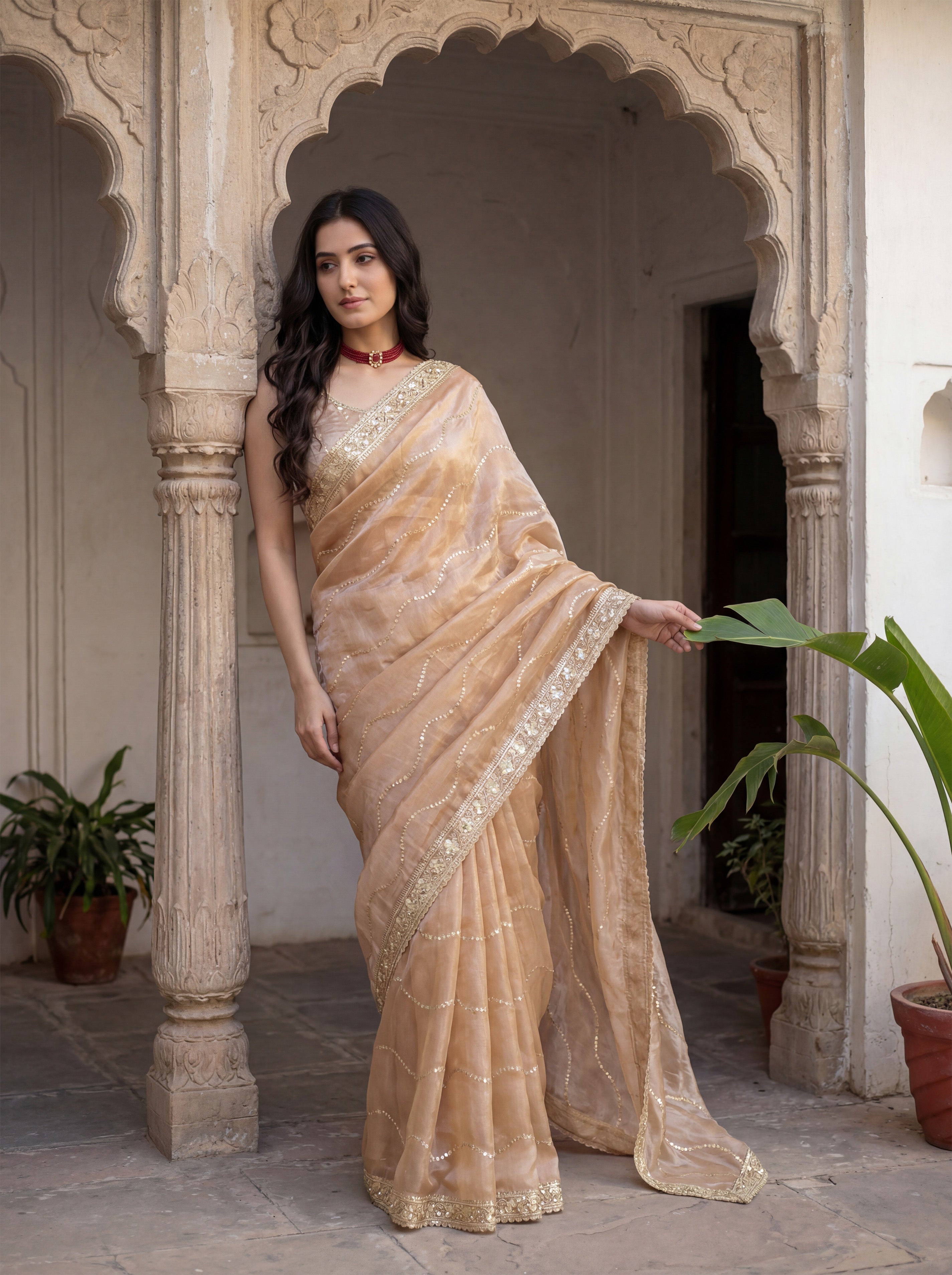 Tan Tissue Striped Sequence Work Saree