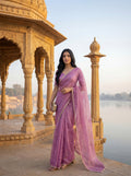 Pink Tissue Floral Zari Work Saree