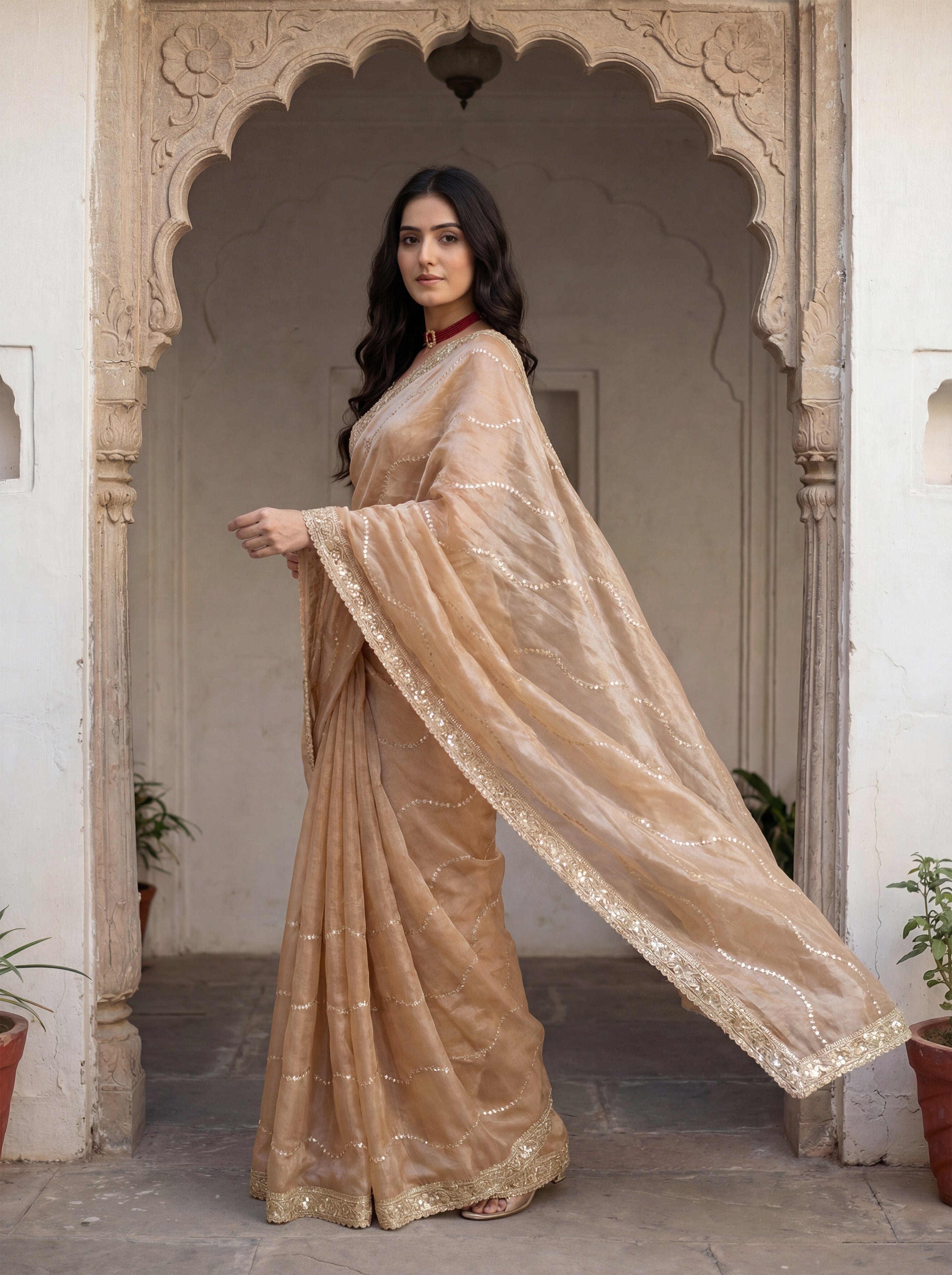 Tan Tissue Striped Sequence Work Saree