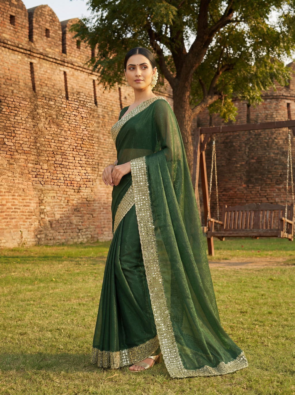 Green Tissue Sequence & Mirror Work Saree