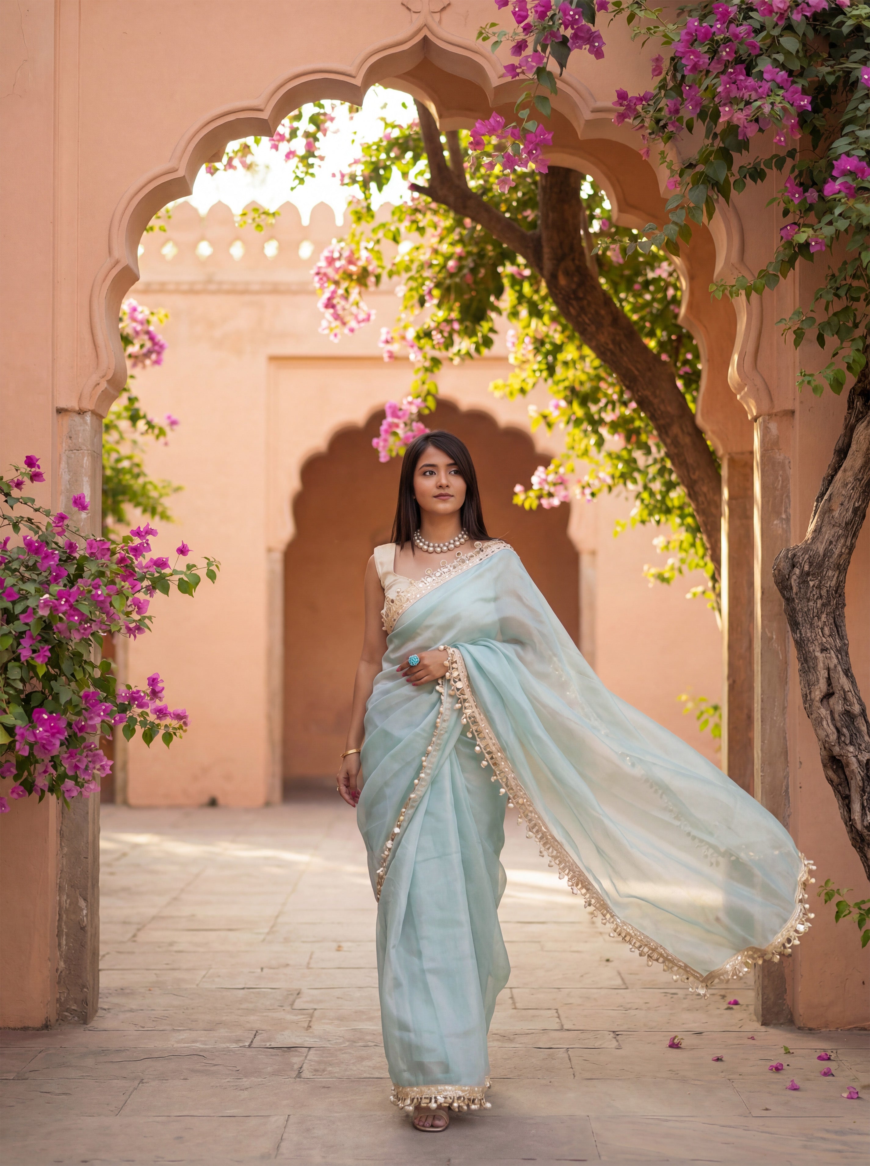 Blue Organza Mirror Work Saree