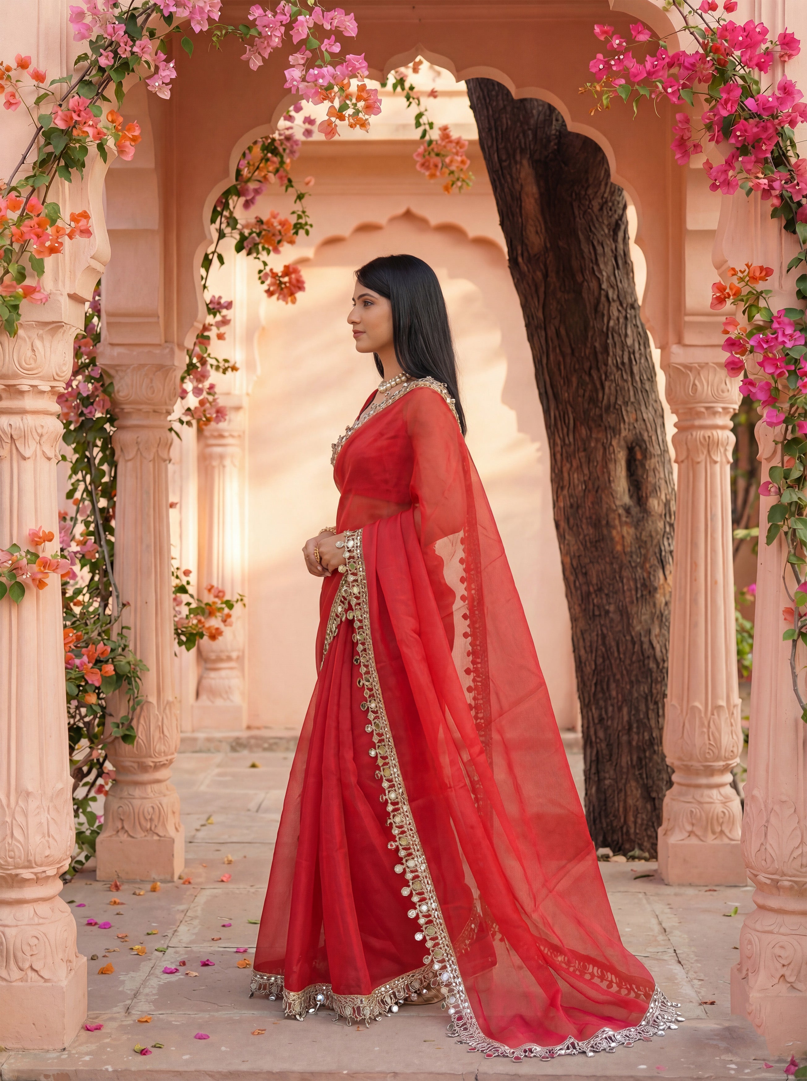 Red Organza Mirror Work Saree