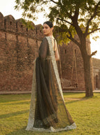 Brown Tissue Sequence & Mirror Work Saree