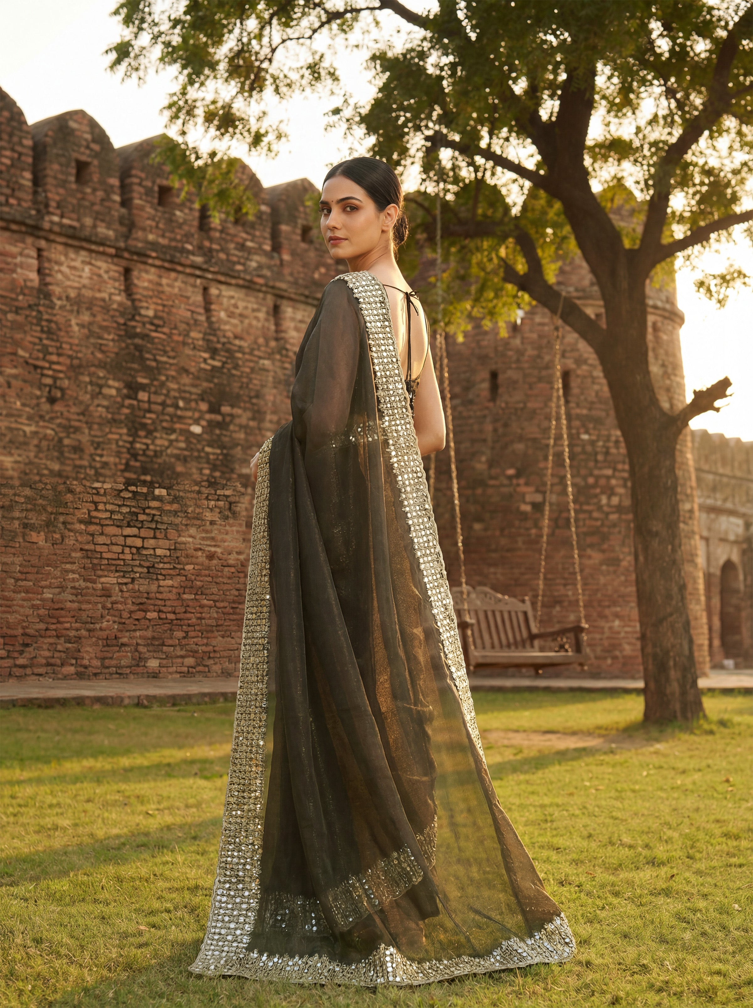 Brown Tissue Sequence & Mirror Work Saree