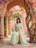 Green Organza Mirror Work Saree