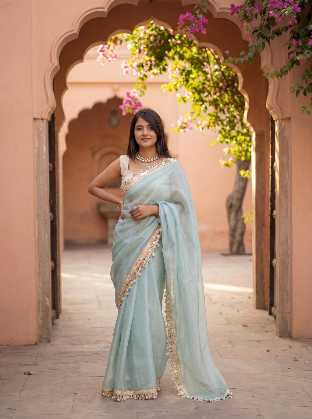 Blue Organza Mirror Work Saree