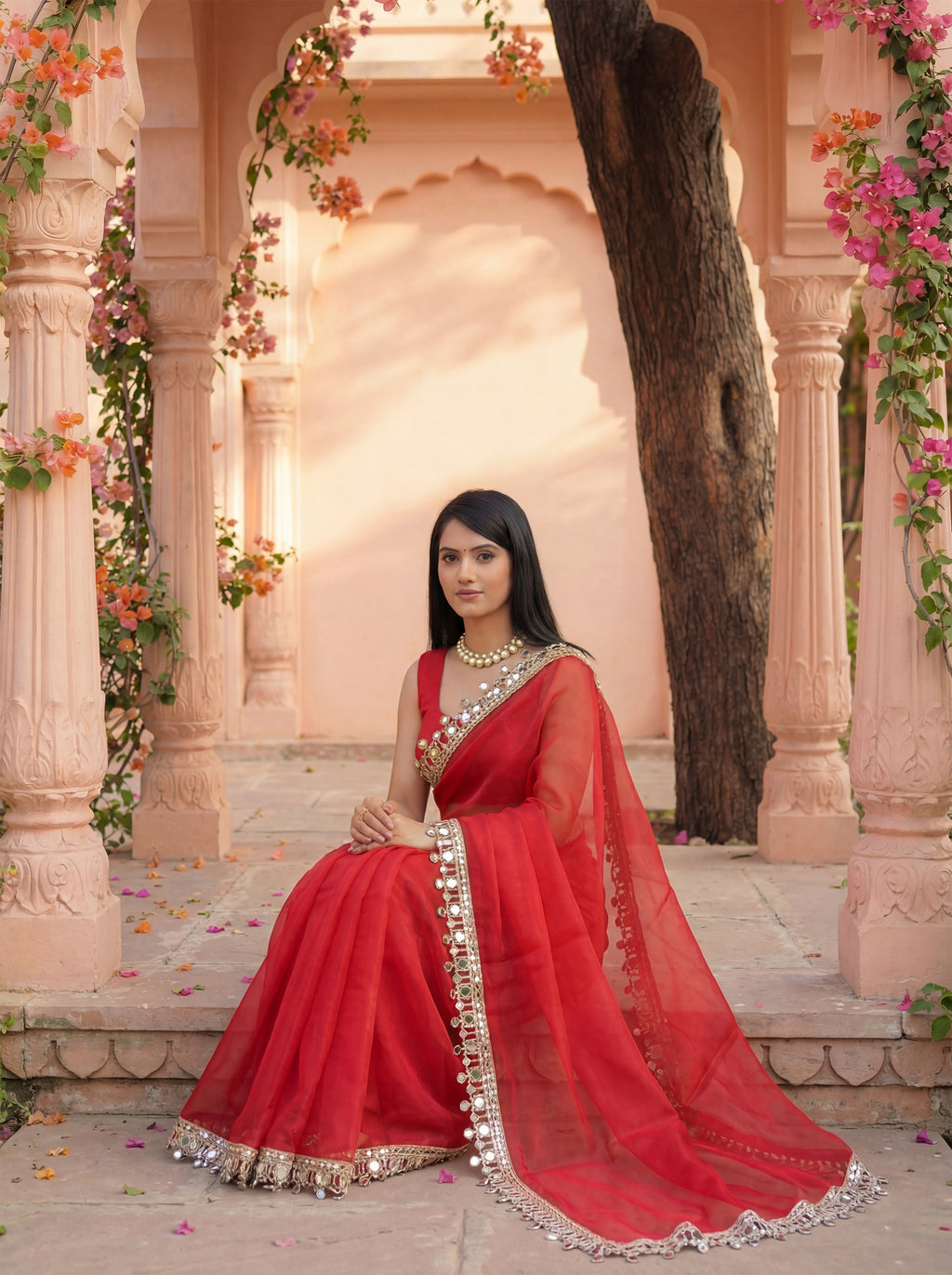 Red Organza Mirror Work Saree