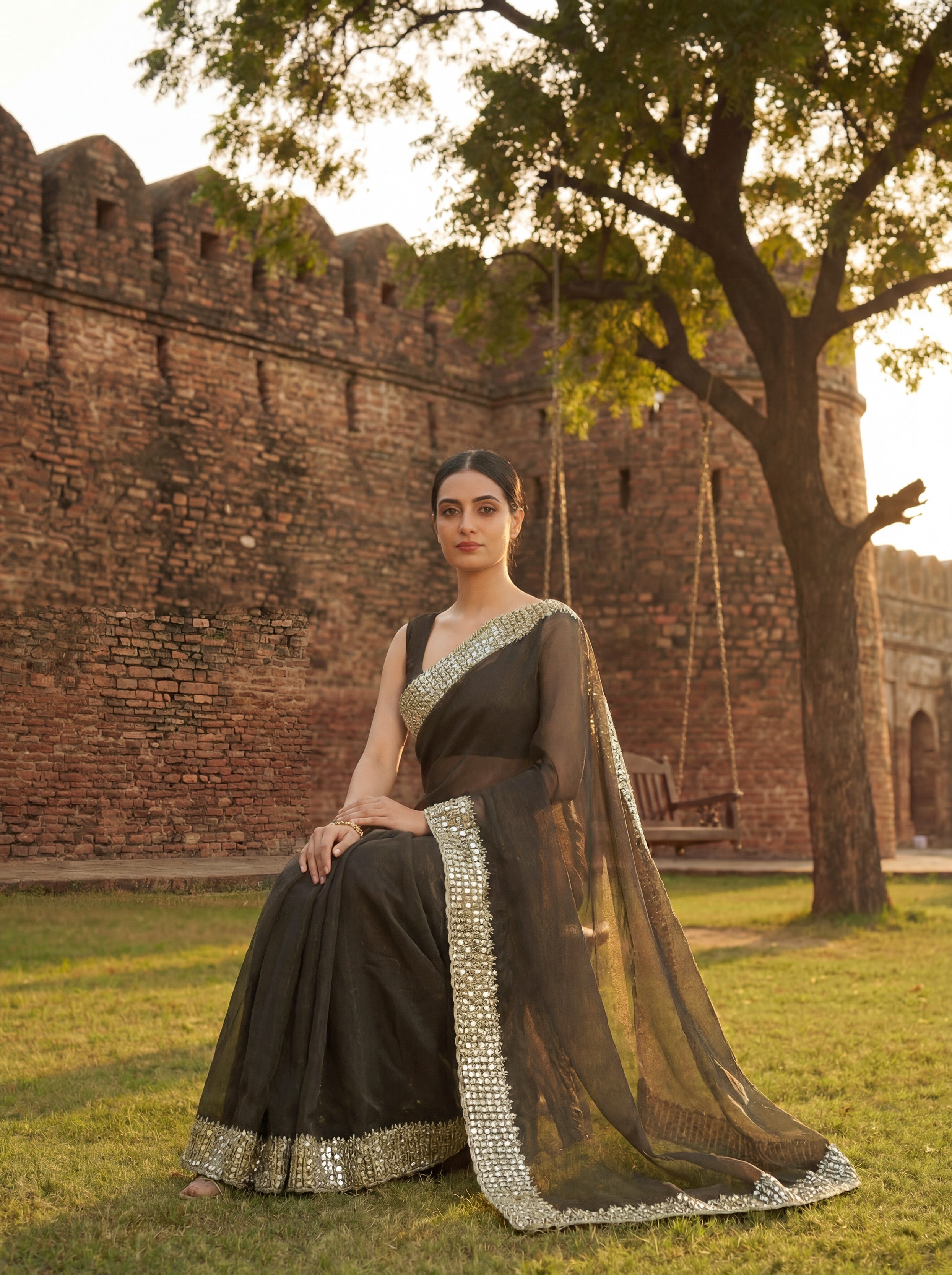 Brown Tissue Sequence & Mirror Work Saree