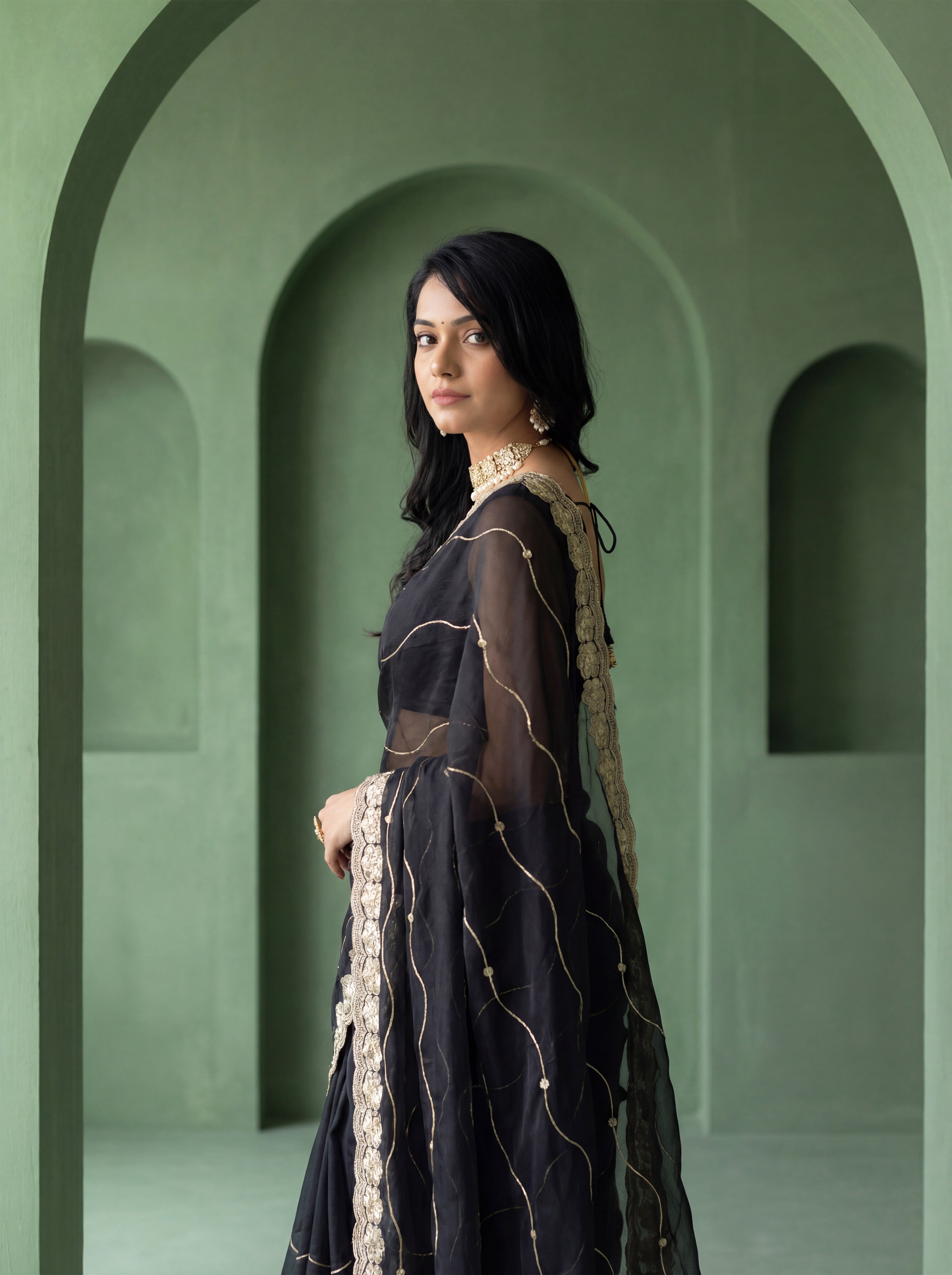 Black Organza Striped Zari Work Saree