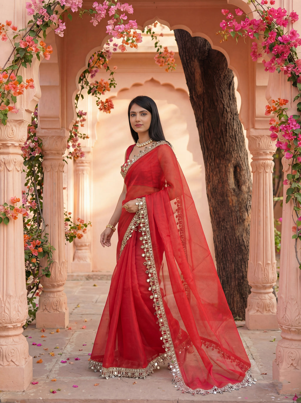 Red Organza Mirror Work Saree