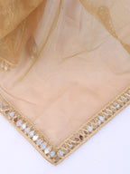 Mustard Tissue Geometric Mirror Work Saree