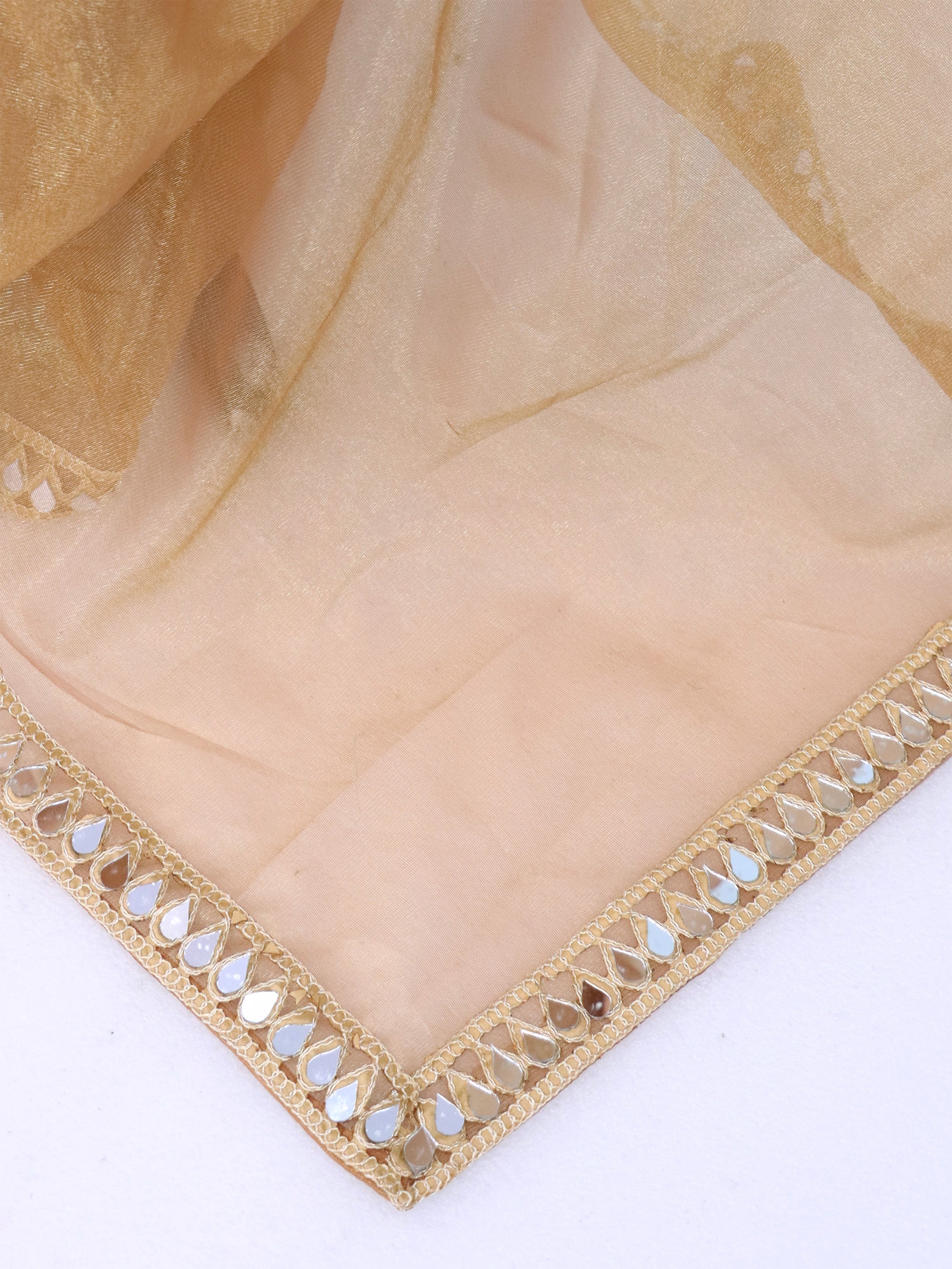 Mustard Tissue Geometric Mirror Work Saree