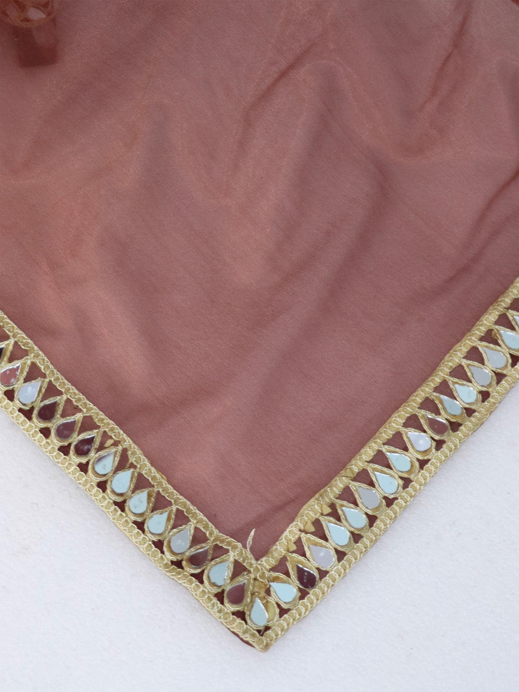 Maroon Tissue Geometric Mirror Work Saree
