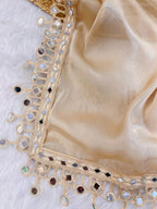 Beige Organza Mirror Work Saree