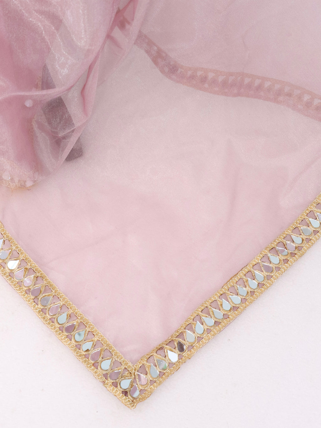 Pink Tissue Geometric Mirror Work Saree