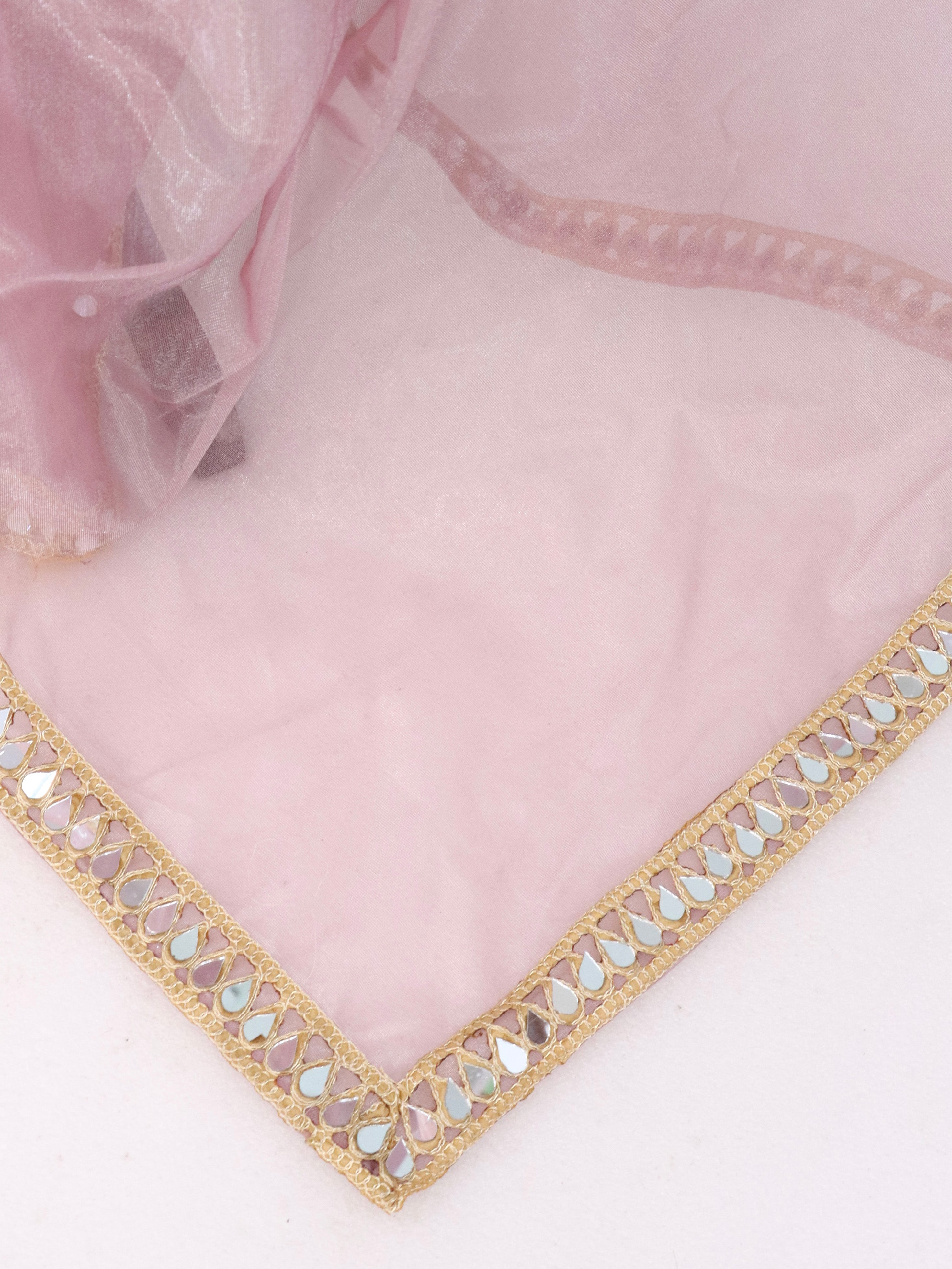 Pink Tissue Geometric Mirror Work Saree